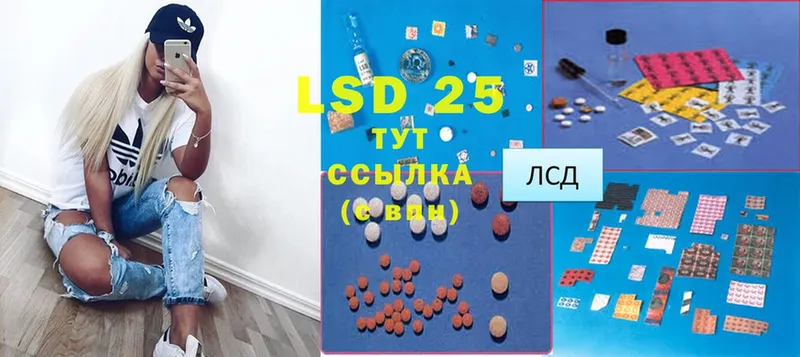 где продают наркотики  Волосово  LSD-25 экстази ecstasy 